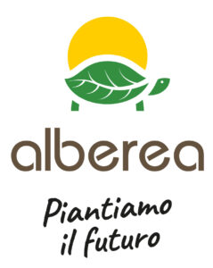Alberea